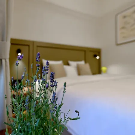Hotel Herbal 3*