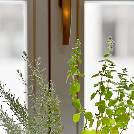 Отель Herbal 3*