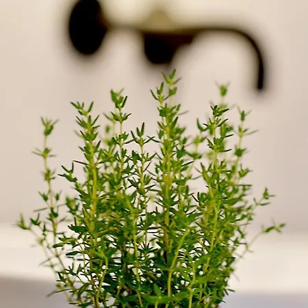 Otel Herbal 3*