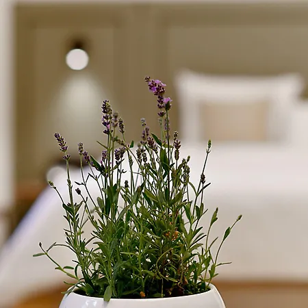 Herbal Ξενοδοχείο Βρότσλαβ