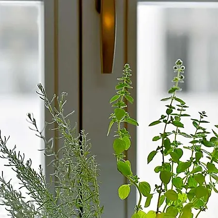 Herbal Hotel